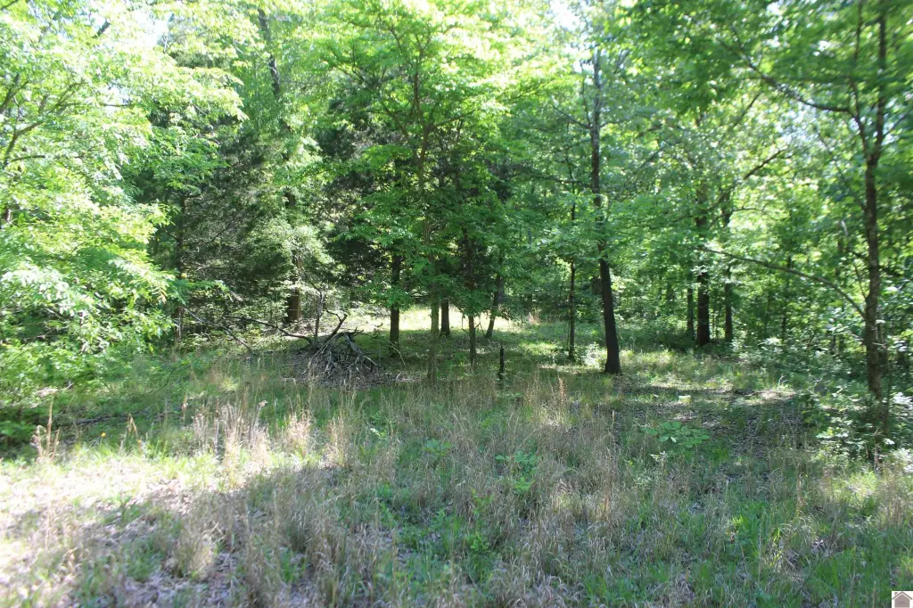 Picture 13
