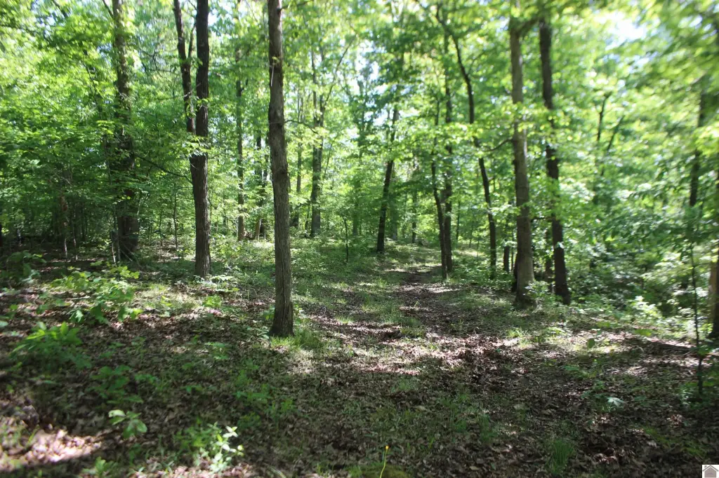 Picture 39