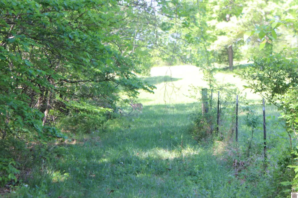 Picture 19