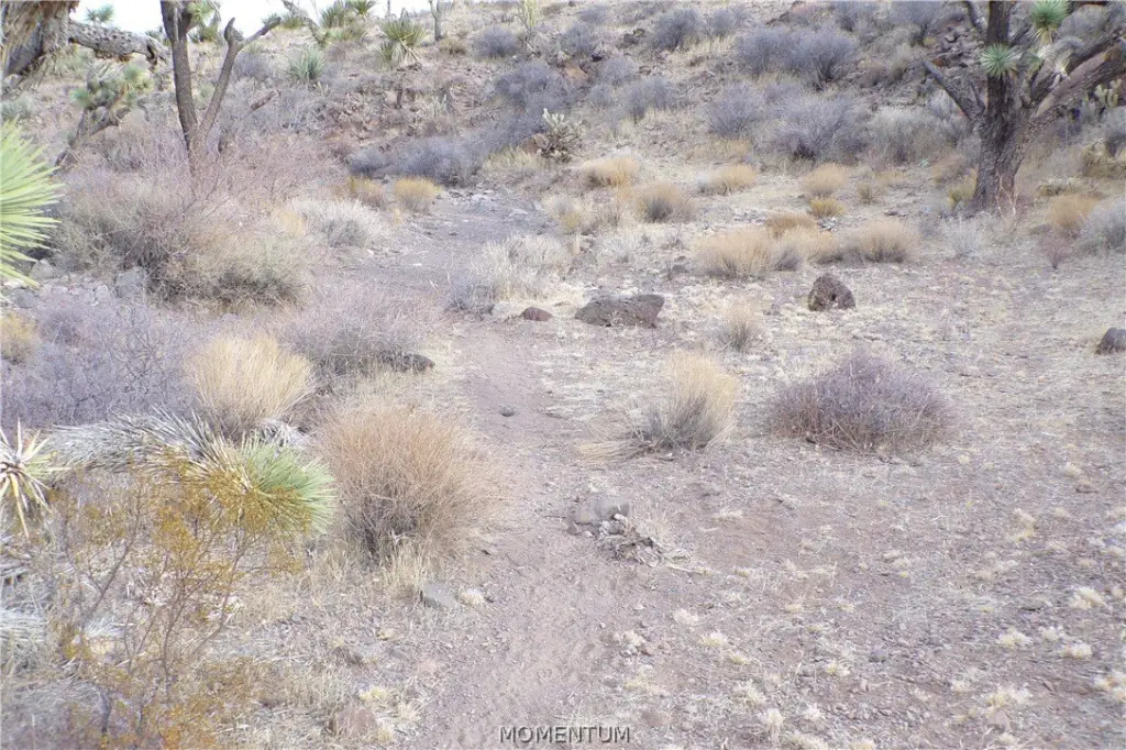 Picture 29