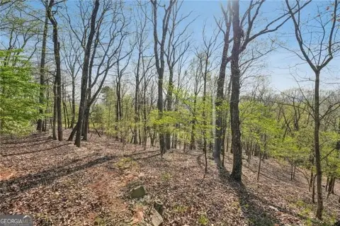 Residential Land in Big Canoe, GA