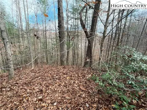 20-Acre Wooded Parcel with Stream