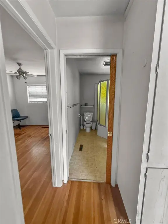 Picture 38