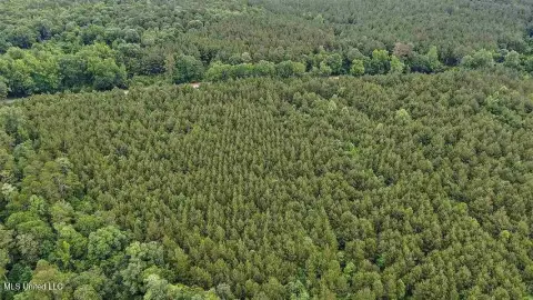 Timberland and Hunting Tract