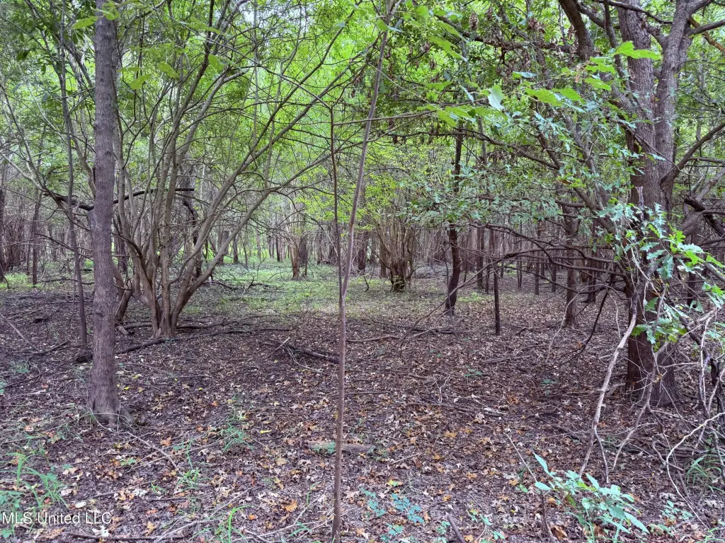 Picture 8