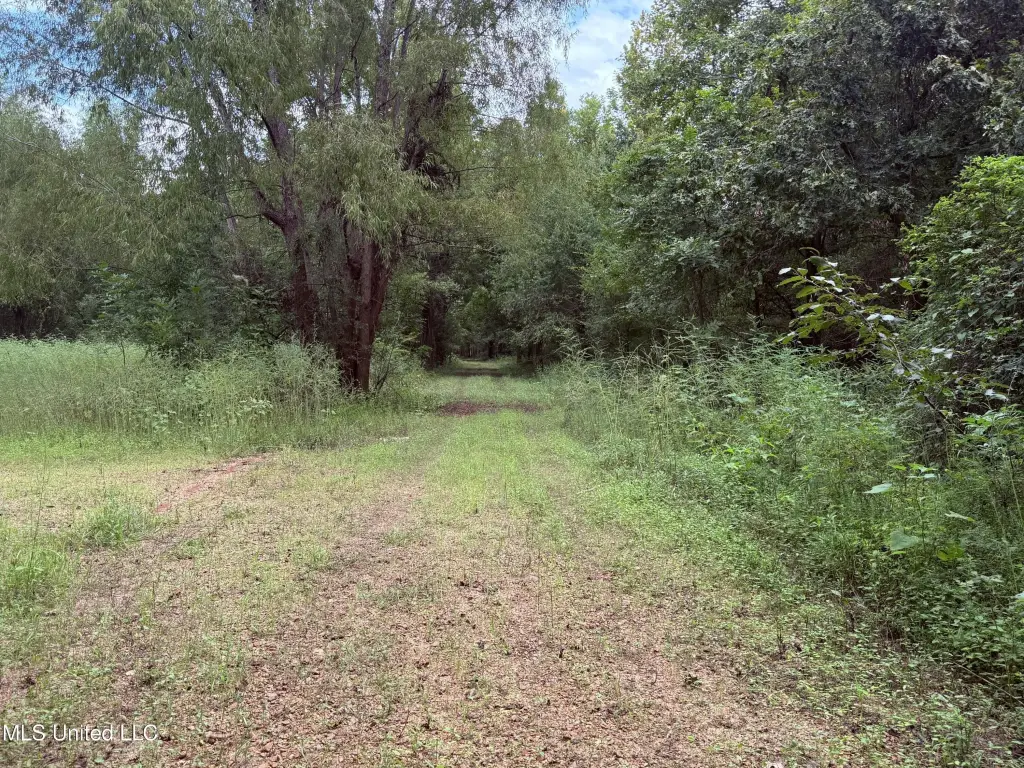 Picture 9