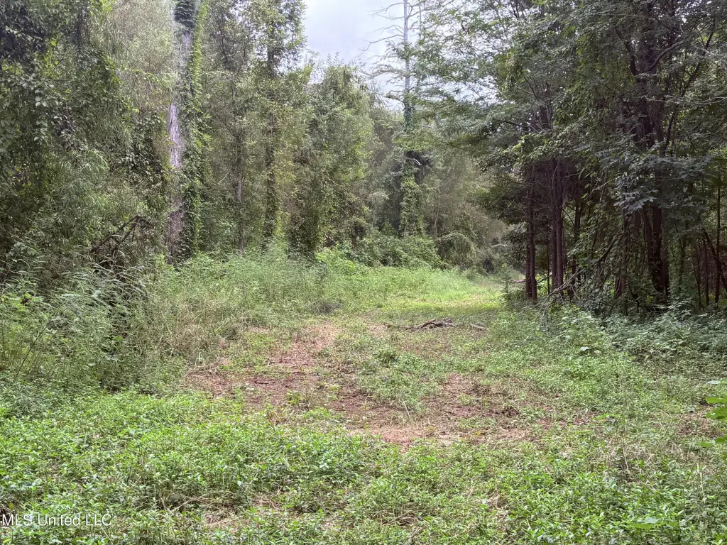 Picture 2