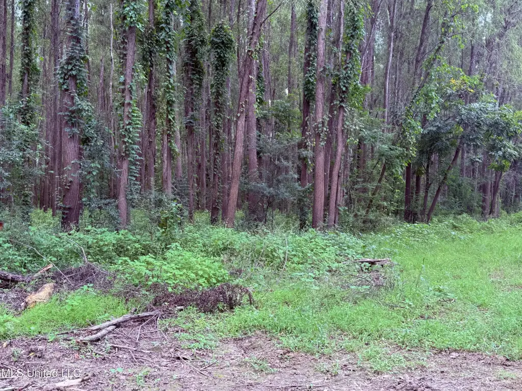 Picture 5