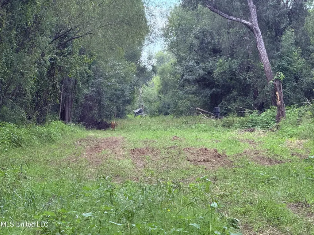 Picture 4