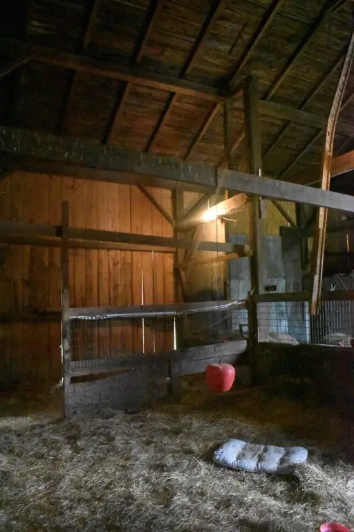 Picture 13