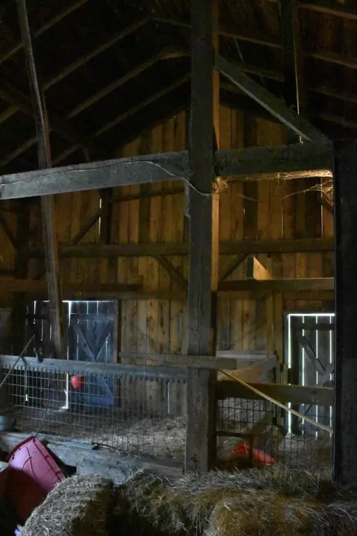 Picture 12