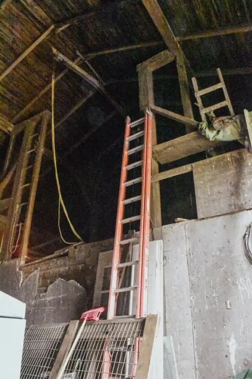 Picture 16