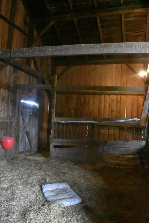 Picture 14