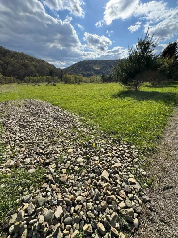 Picture 15