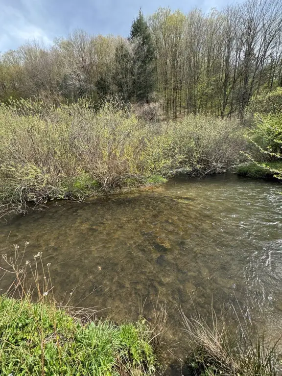 Picture 4