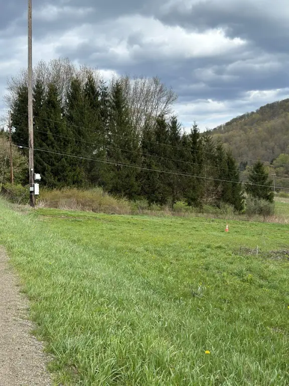 Picture 13