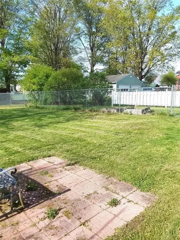 Picture 5