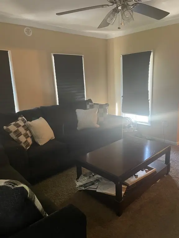 Picture 22