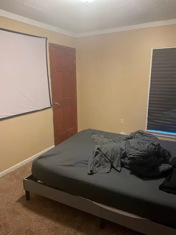 Picture 26