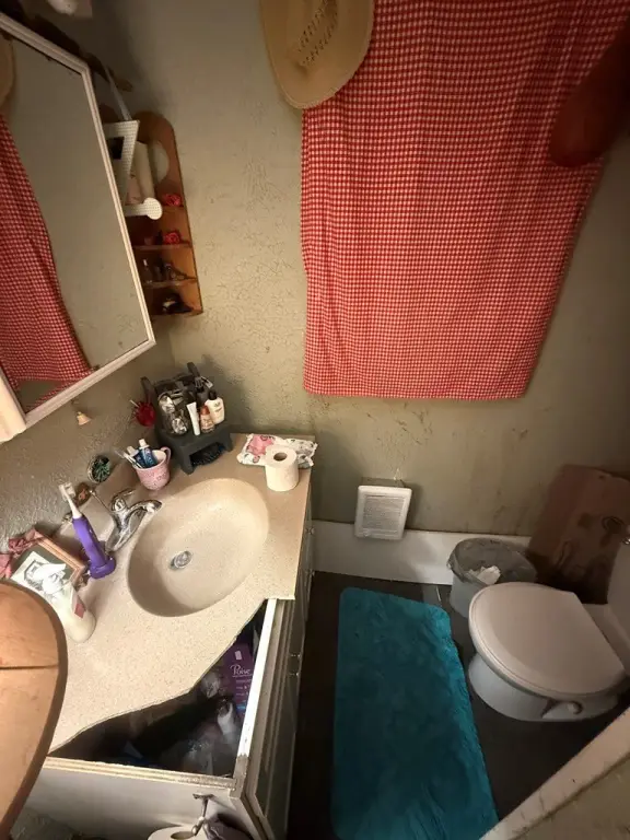 Picture 19