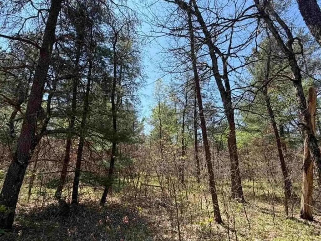 Picture 7