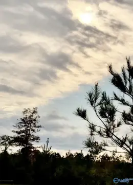 Piedmont, AL Acreage For Sale