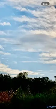 Piedmont, AL Acreage For Sale