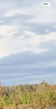 Piedmont, AL Acreage For Sale