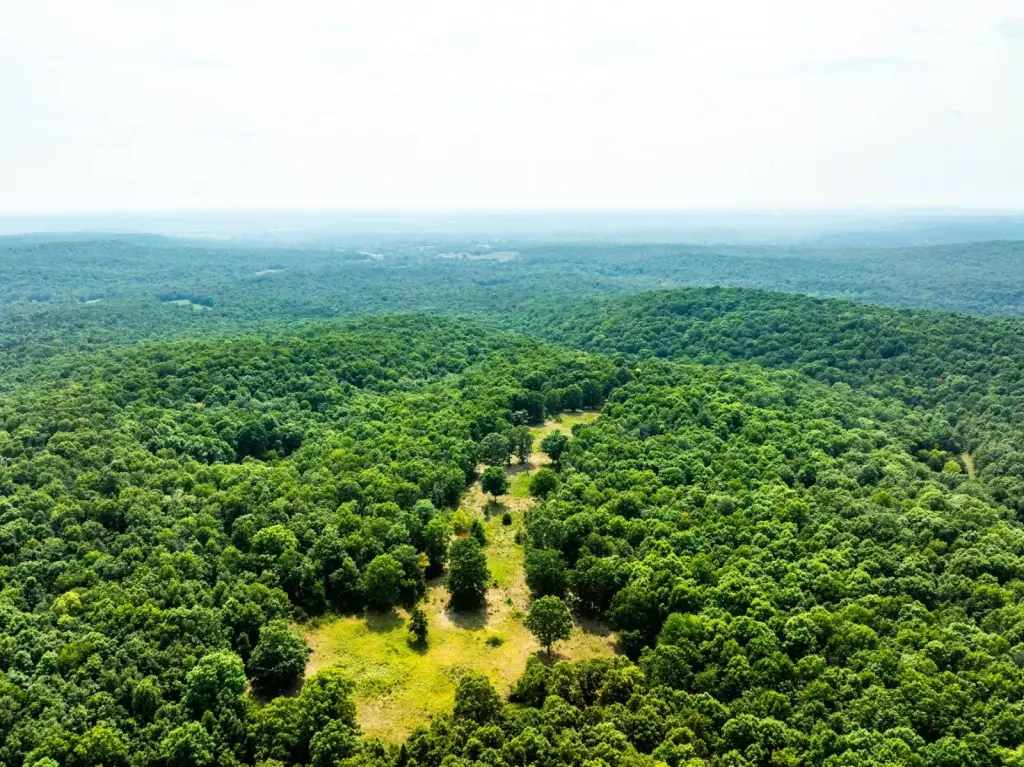 Picture 30