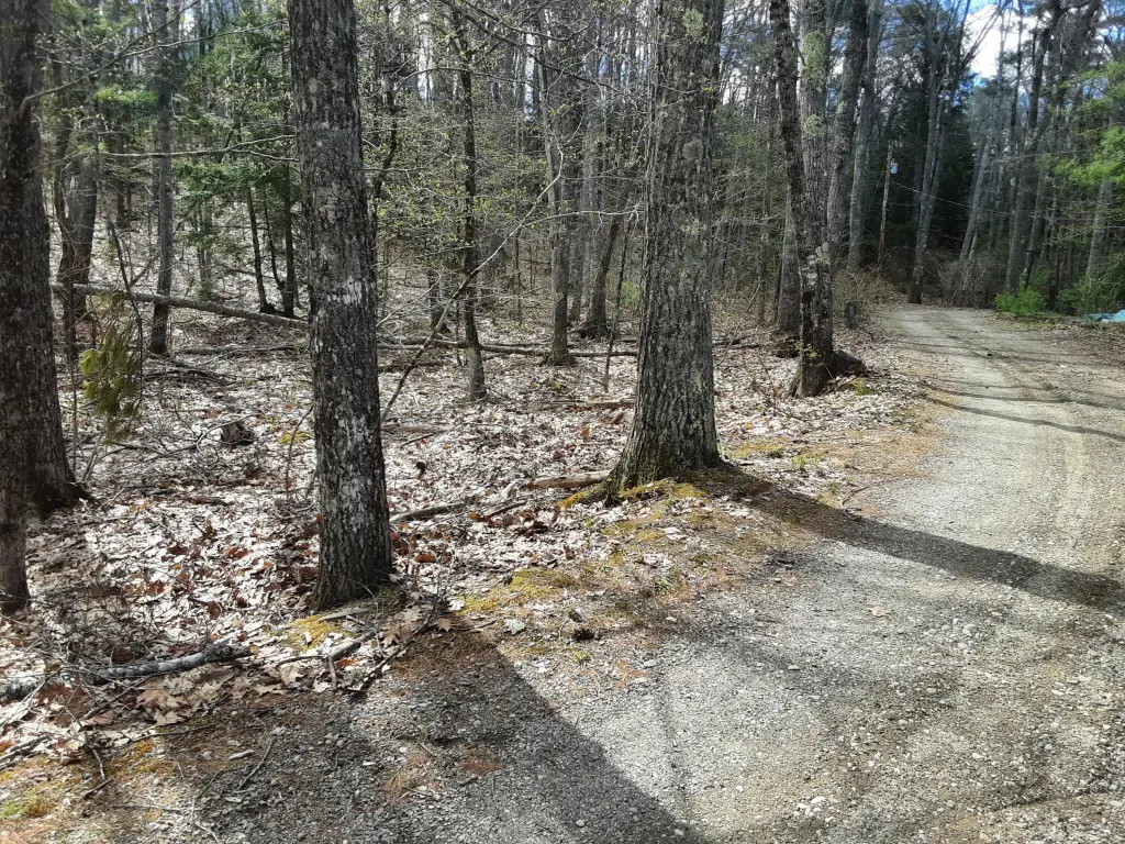 Picture 2