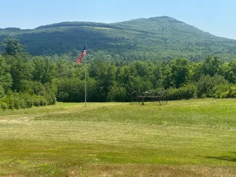 Wooded and Open Land