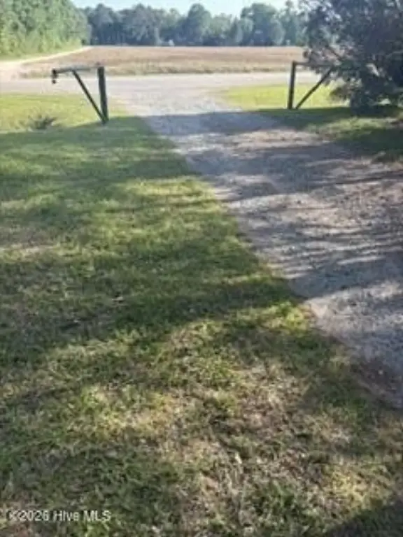 Picture 15