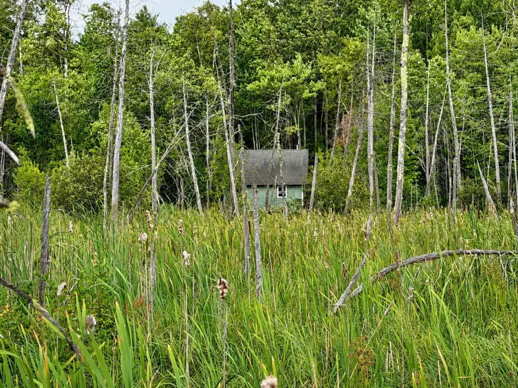 Picture 9