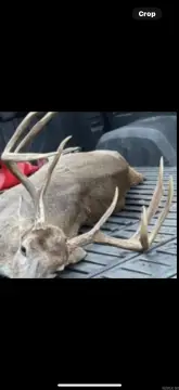 30 Acres with Owner Financing