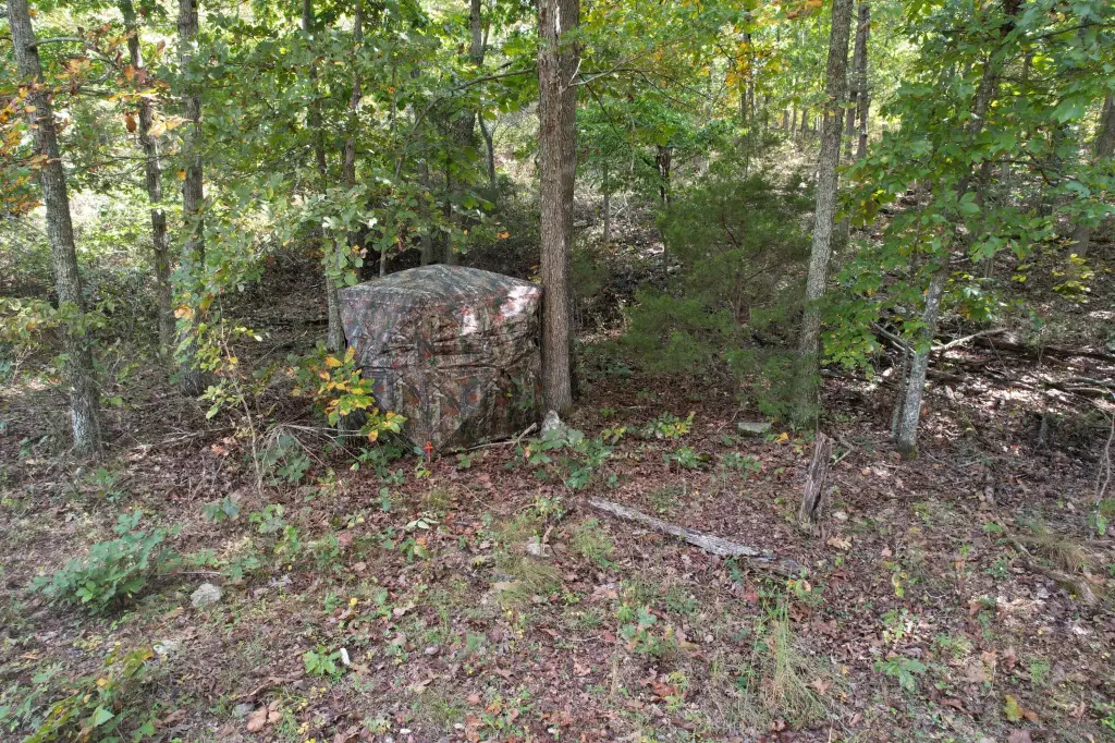 Picture 30