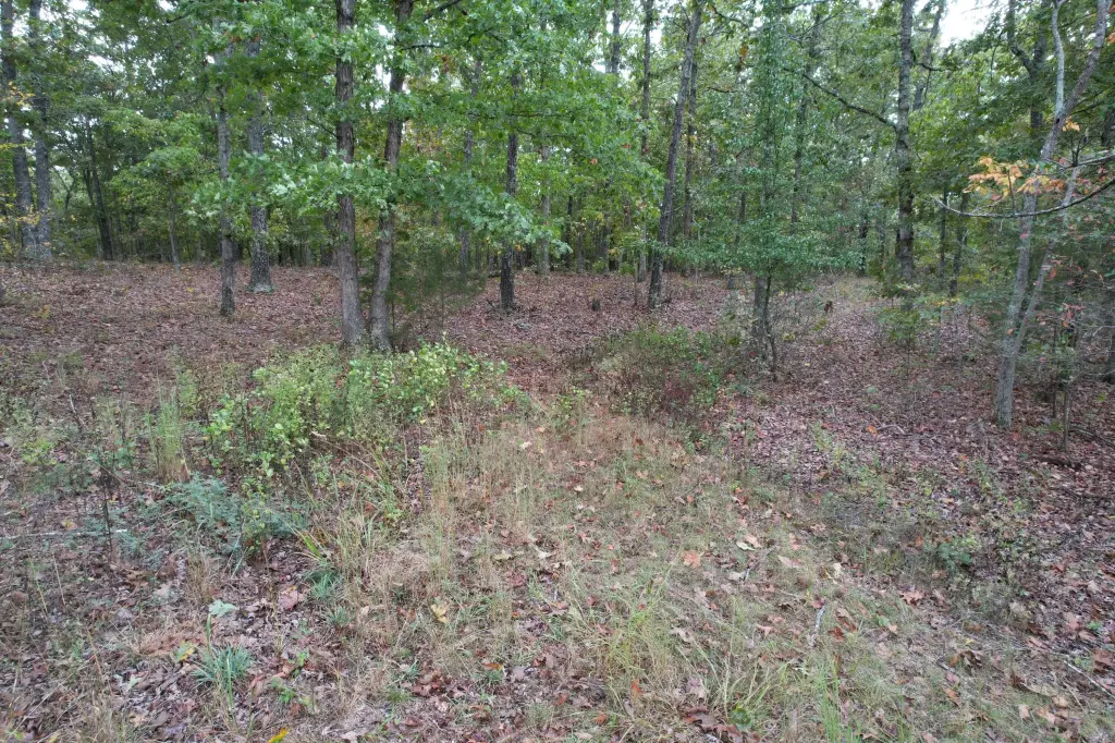 Picture 23