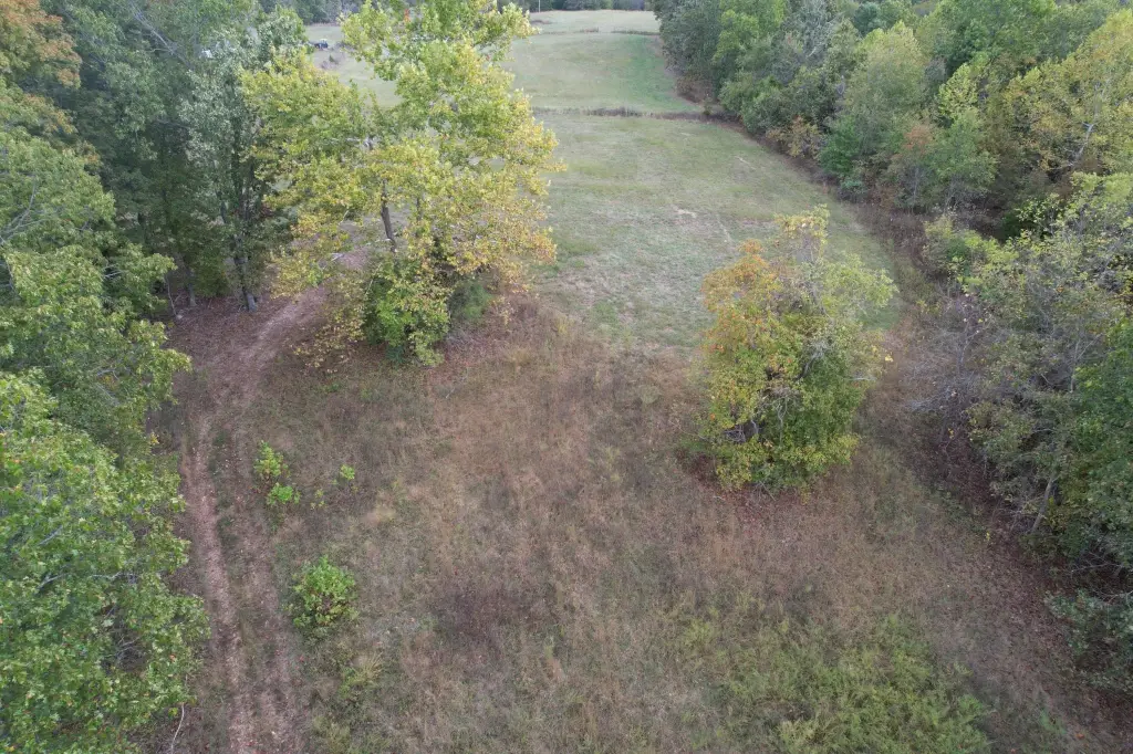 Picture 19