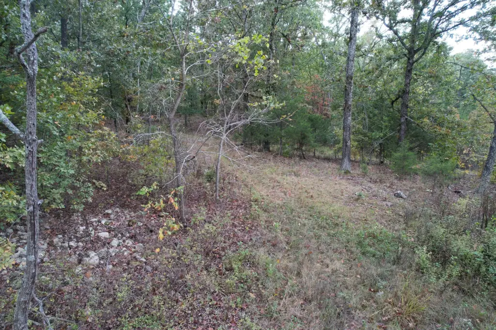 Picture 21