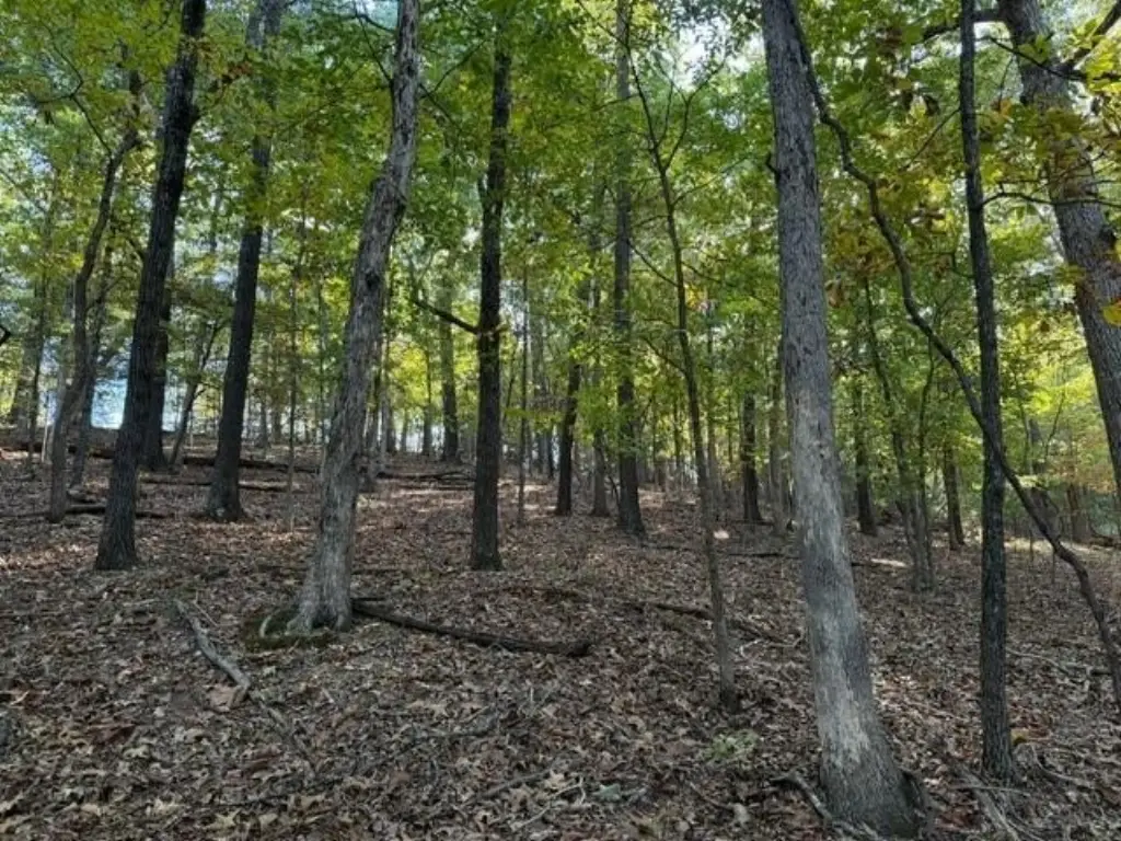 Picture 3