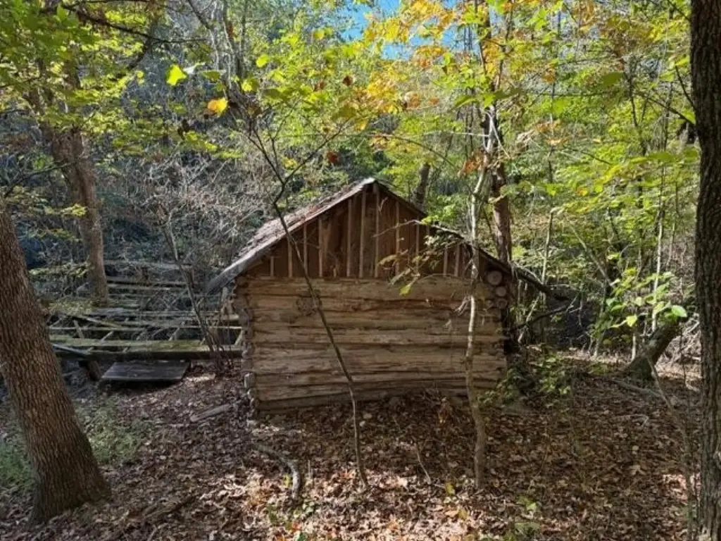 Picture 7