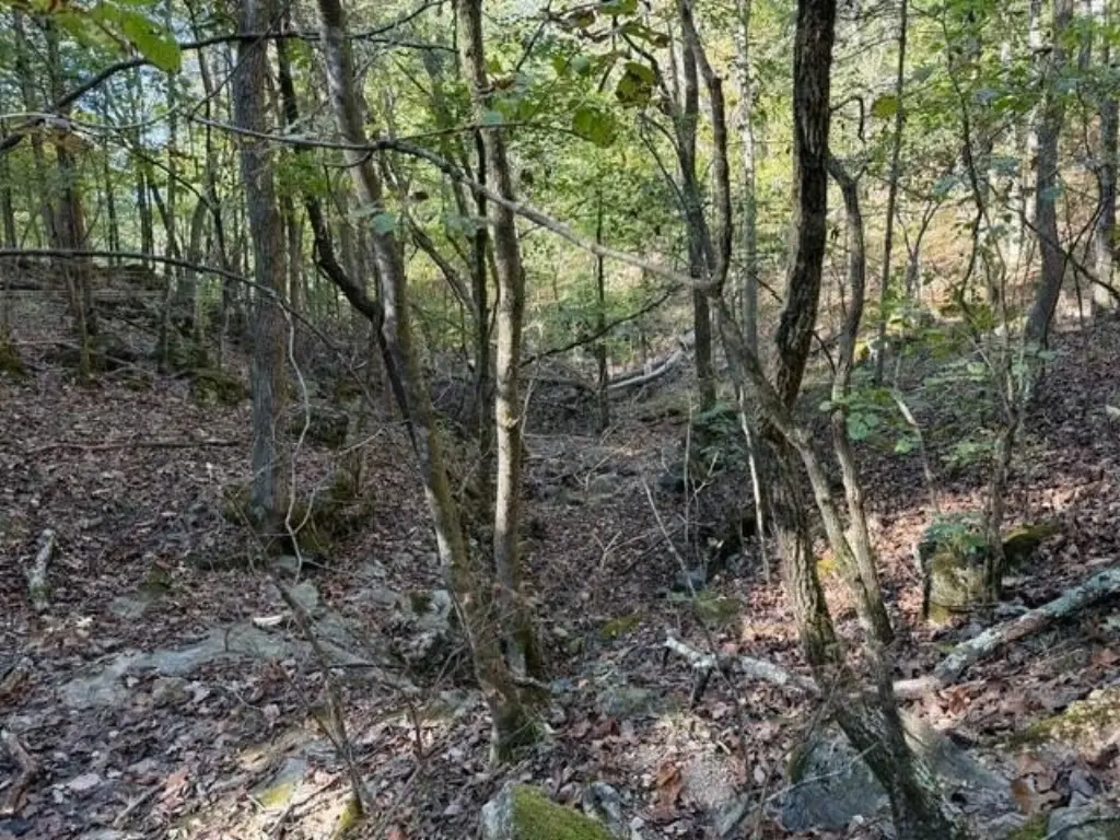 Picture 18