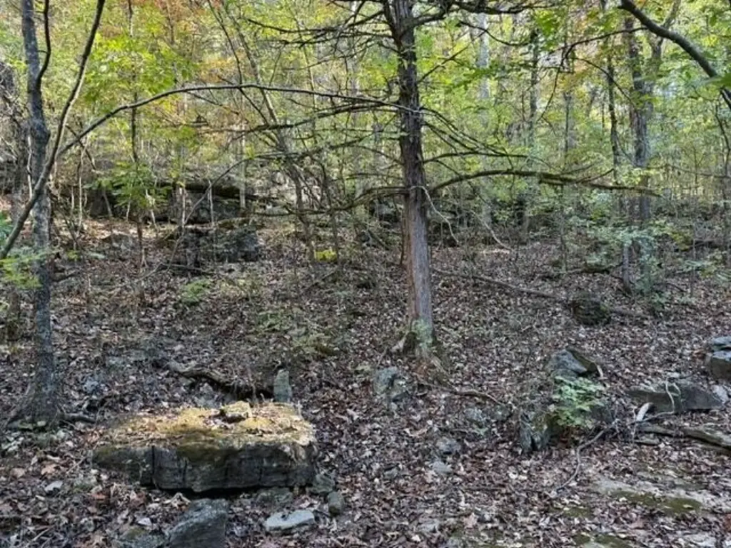 Picture 11