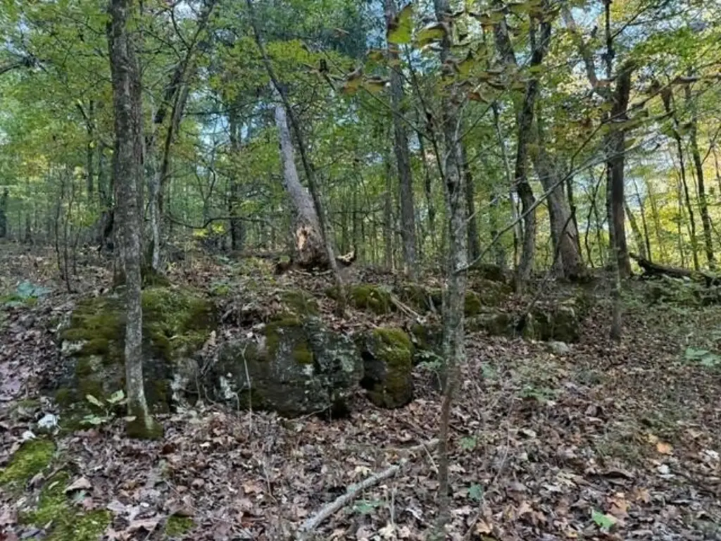 Picture 14