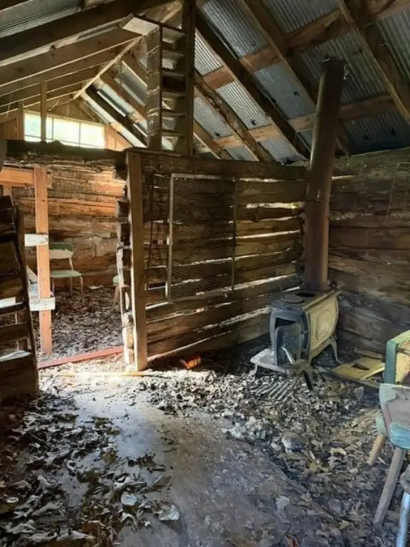Picture 6