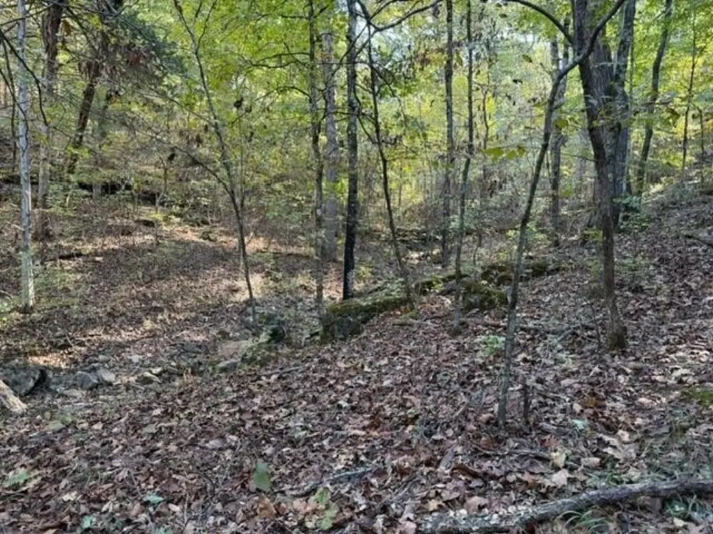 Picture 16