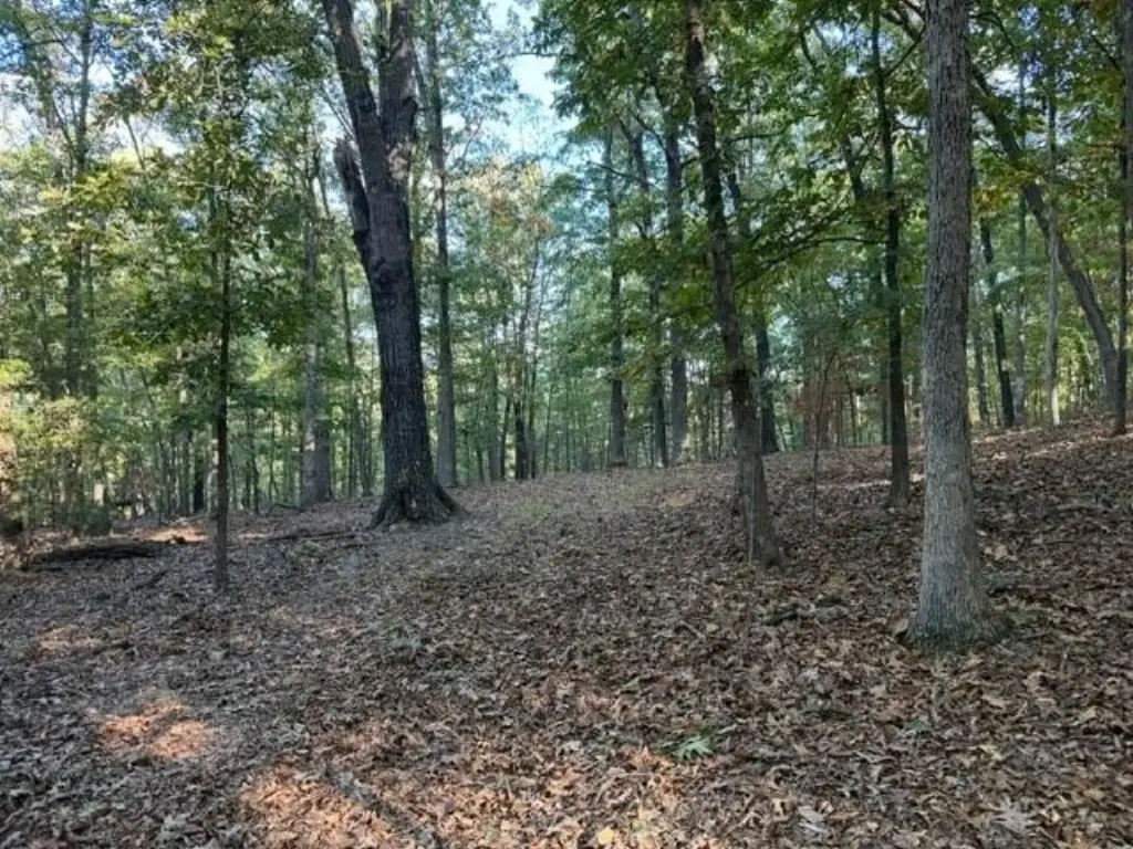 Picture 20