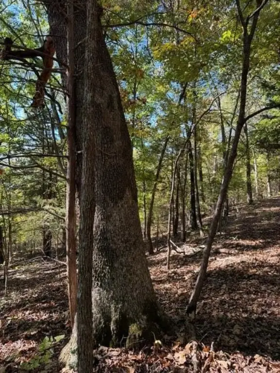 Picture 4