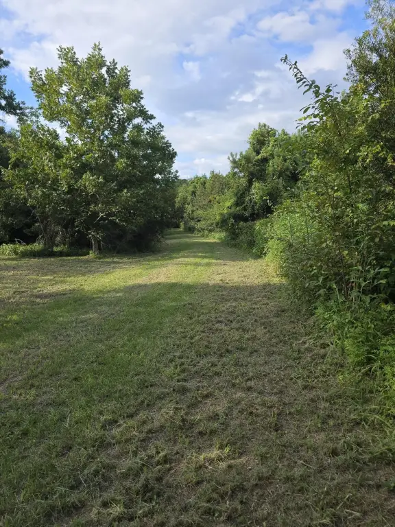 Picture 25