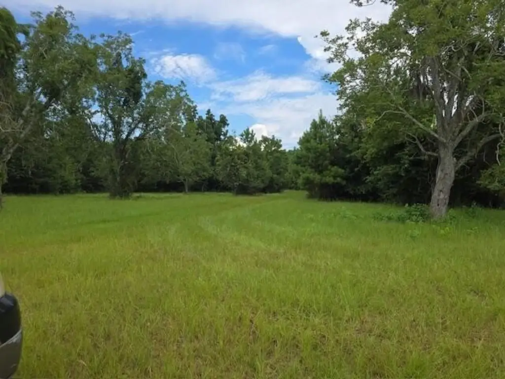 Picture 21