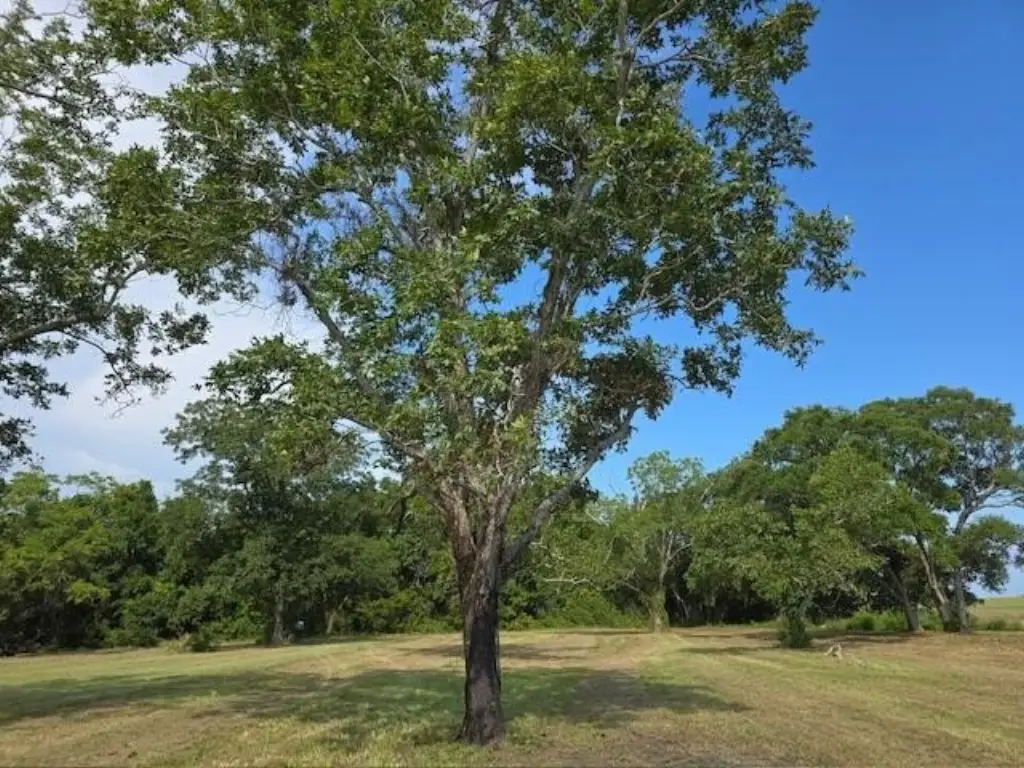 Picture 23